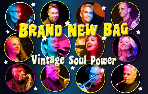 Brand New Bag Soul 12 hard working heroes